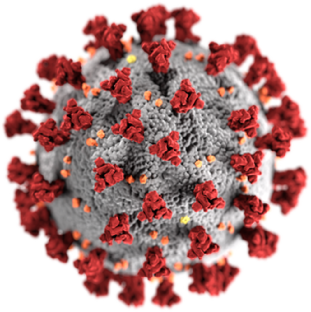 Informations CORONAVIRUS
